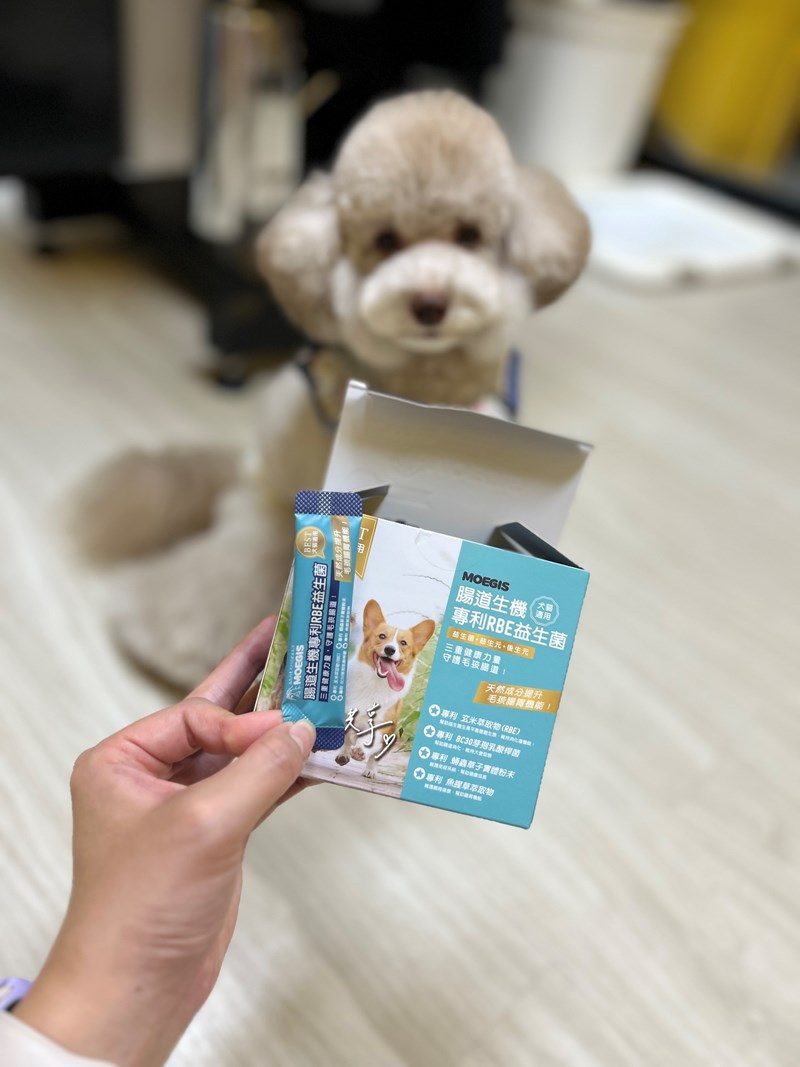 女人知己試用大隊,口碑行銷,部落客行銷,Moegis萌吉 腸道生機專利RBE益生菌,寵物益生菌,專利RBE益生元,專利蔬果酵素,小分子胜肽,藍藻粉,維持免疫力,幫助維持消化道機能,維持正常食慾,改變細菌叢生態,腸胃保健,犬貓適用